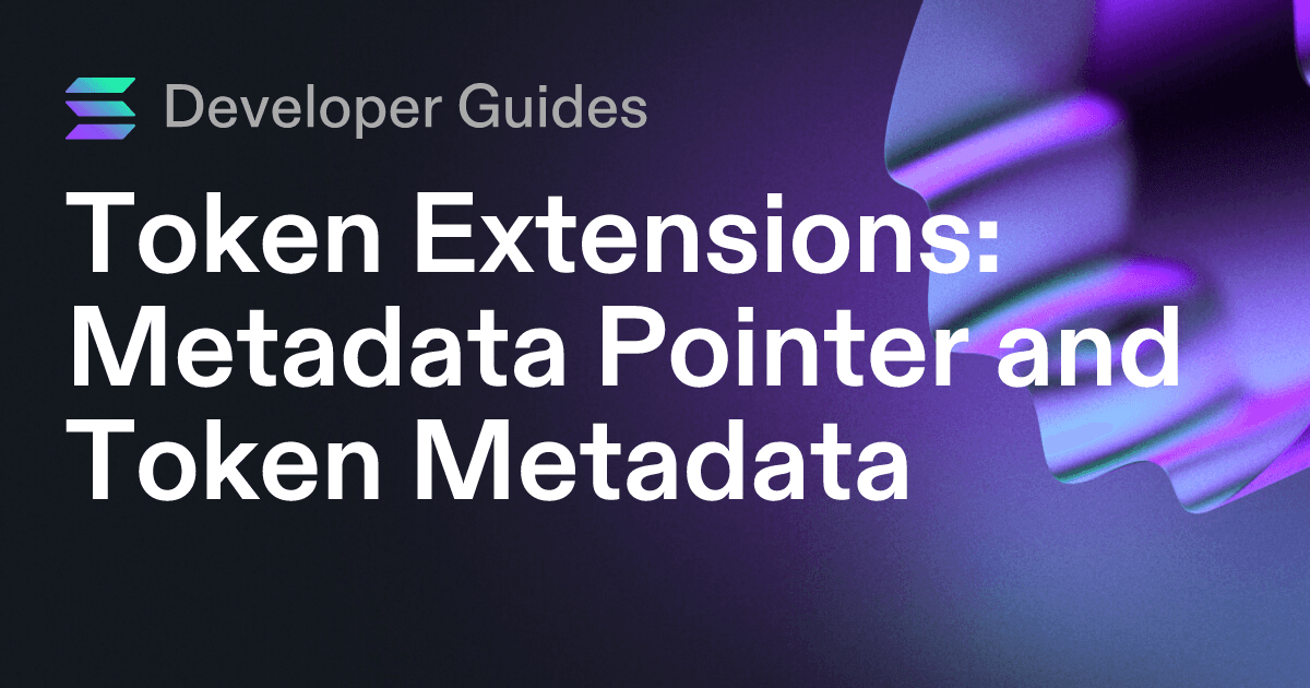 How to use the Metadata Pointer extension